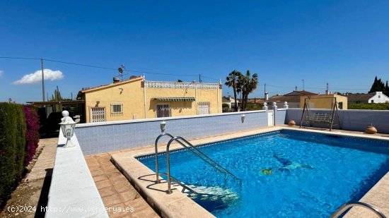 Finca en venta en Crevillent (Alicante)