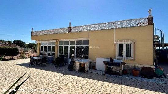 Finca en venta en Crevillent (Alicante)