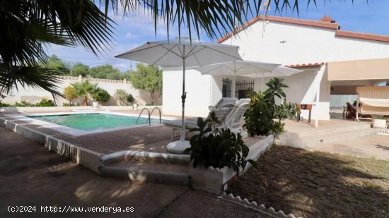 Finca en venta en Albatera (Alicante)