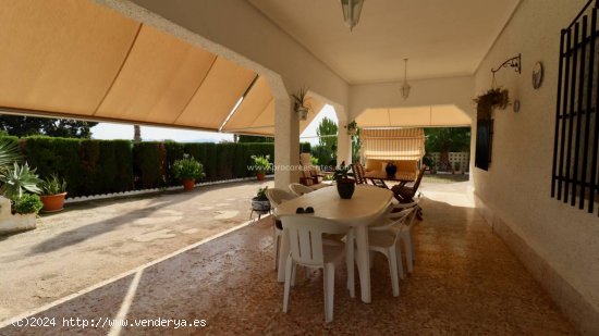 Finca en venta en Albatera (Alicante)