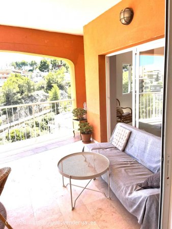 Apartamento en alquiler en Palma de Mallorca (Baleares)