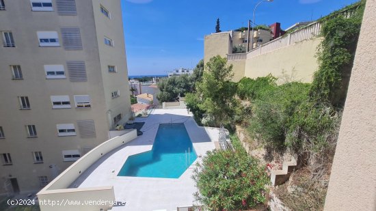 Apartamento en alquiler en Palma de Mallorca (Baleares)