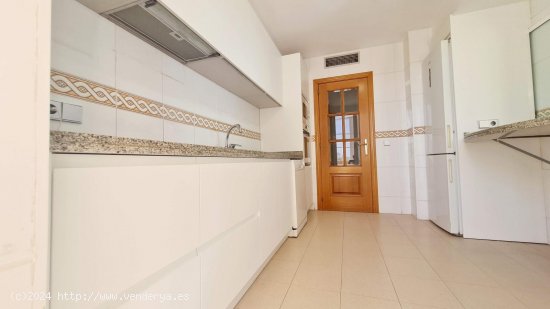 Apartamento en alquiler en Palma de Mallorca (Baleares)