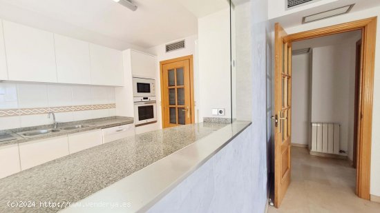 Apartamento en alquiler en Palma de Mallorca (Baleares)