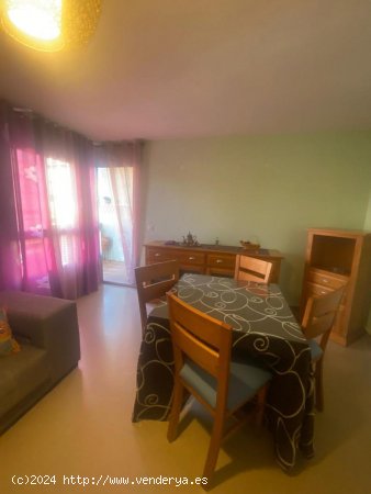 Apartamento en alquiler en Granada (Granada)