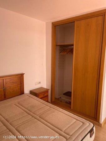 Apartamento en alquiler en Granada (Granada)