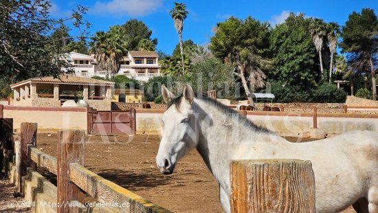 Villa en venta en Sant Antoni de Portmany (Baleares)