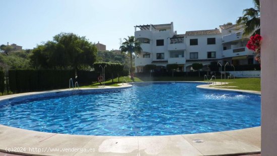  Apartamento en alquiler en Benalmádena (Málaga) 