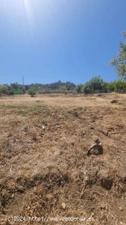 Finca en venta en Coín (Málaga)