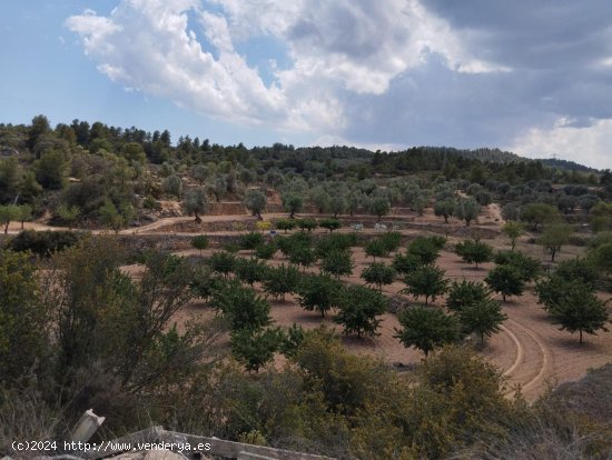  Finca en venta en Valjunquera (Teruel) 