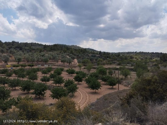 Finca en venta en Valjunquera (Teruel)