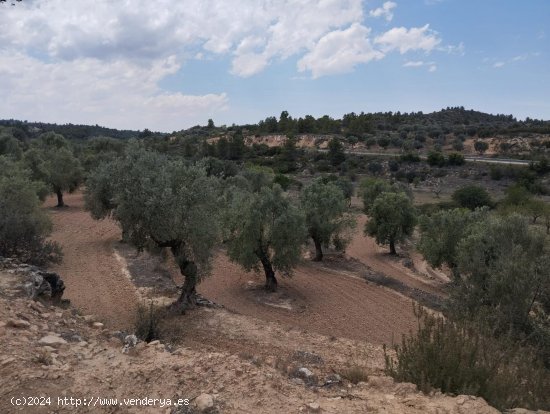 Finca en venta en Valjunquera (Teruel)