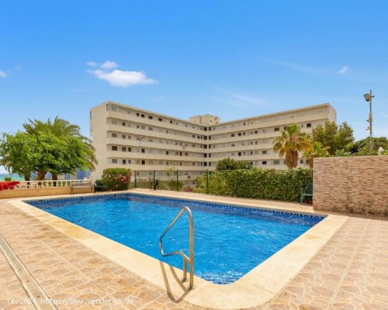 Piso en venta en Torrevieja (Alicante)