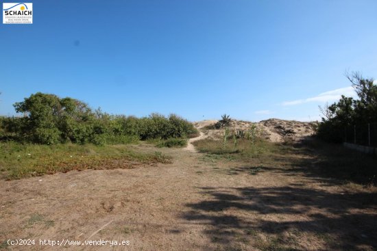 Solar en venta en Oliva (Valencia)