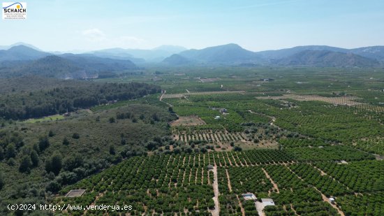 Solar en venta en Oliva (Valencia)