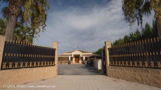 Finca en venta en Almoradí (Alicante)