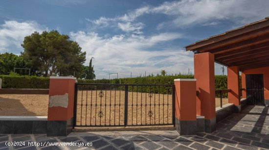 Finca en venta en Almoradí (Alicante)