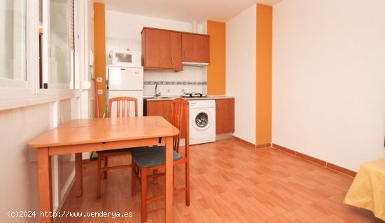 Estudio en alquiler en Granada (Granada)