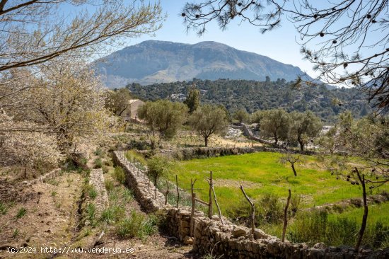 Finca en venta en Escorca (Baleares)