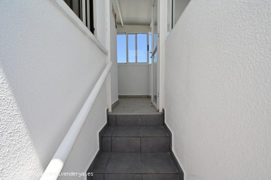 Casa en venta en Torrevieja (Alicante)