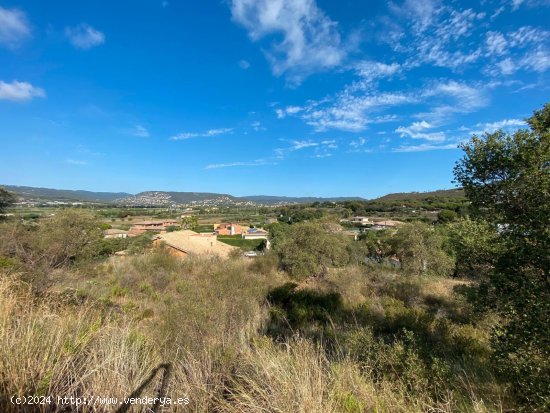 Solar en venta en Calonge (Girona)