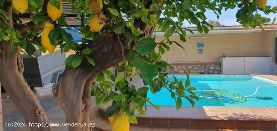 Villa en alquiler en Alhaurín de la Torre (Málaga)