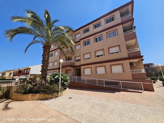  Apartamento en venta en Algorfa (Alicante) 