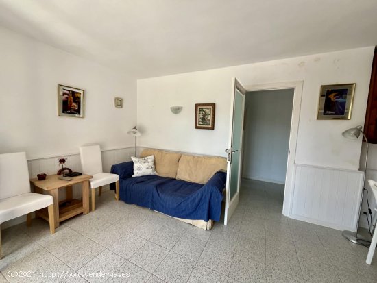 Apartamento en alquiler en Calvià (Baleares)