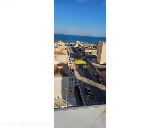 Apartamento en alquiler en Torrevieja (Alicante)