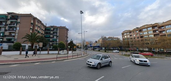 Piso en alquiler en Granada (Granada)