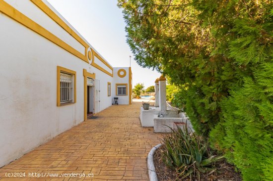 Finca en venta en La Palma del Condado (Huelva)