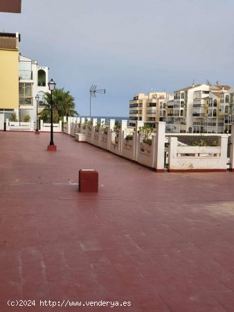 Estudio en venta en Torrevieja (Alicante)