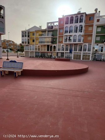 Estudio en venta en Torrevieja (Alicante)