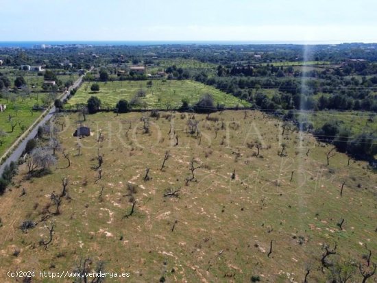  Parcela en venta en Sant Llorenç des Cardassar (Baleares) 