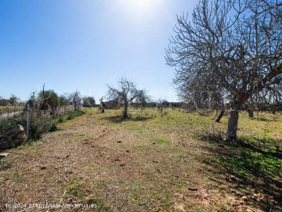 Parcela en venta en Sant Llorenç des Cardassar (Baleares)