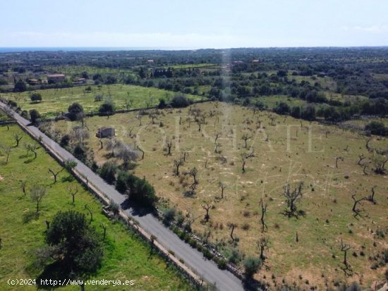 Parcela en venta en Sant Llorenç des Cardassar (Baleares)