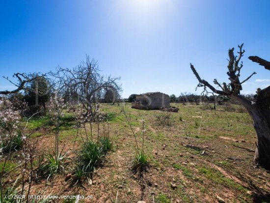 Parcela en venta en Sant Llorenç des Cardassar (Baleares)