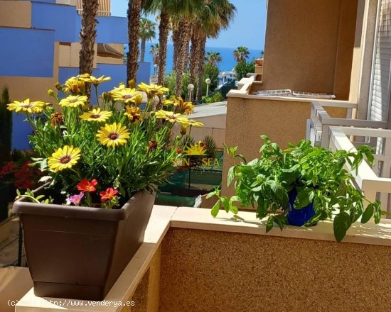 Apartamento en alquiler en Orihuela (Alicante)