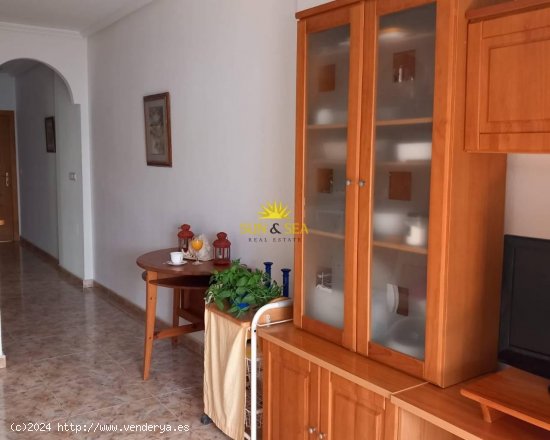 Apartamento en alquiler en Orihuela (Alicante)