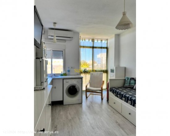 Apartamento en alquiler en Torrevieja (Alicante)