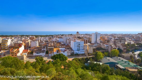 Local en venta en Guardamar del Segura (Alicante)