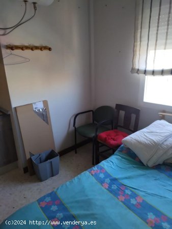 Estudio en alquiler en Granada (Granada)