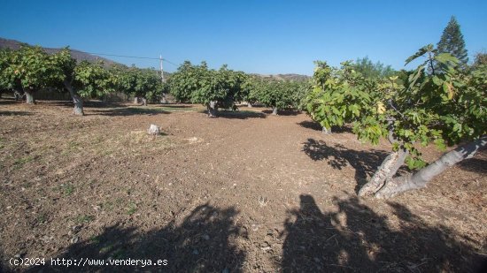 Finca en venta en Estepona (Málaga)