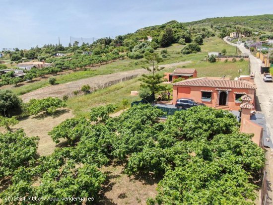 Finca en venta en Estepona (Málaga)