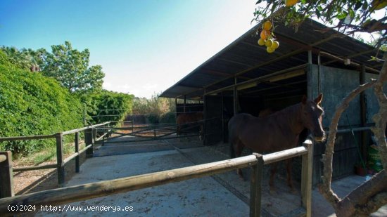 Finca en venta en Estepona (Málaga)