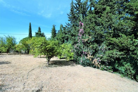 Finca en venta en Estepona (Málaga)