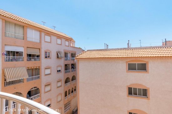 Apartamento en venta en Torrevieja (Alicante)