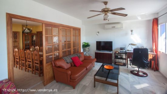 Finca en venta en Estepona (Málaga)