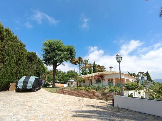 Finca en venta en Estepona (Málaga)