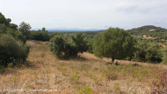 Finca en venta en Felanitx (Baleares)